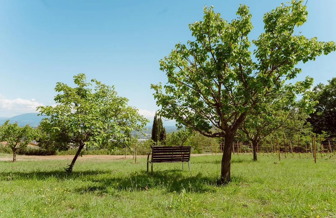 Agriturismo San Felicissimo-1